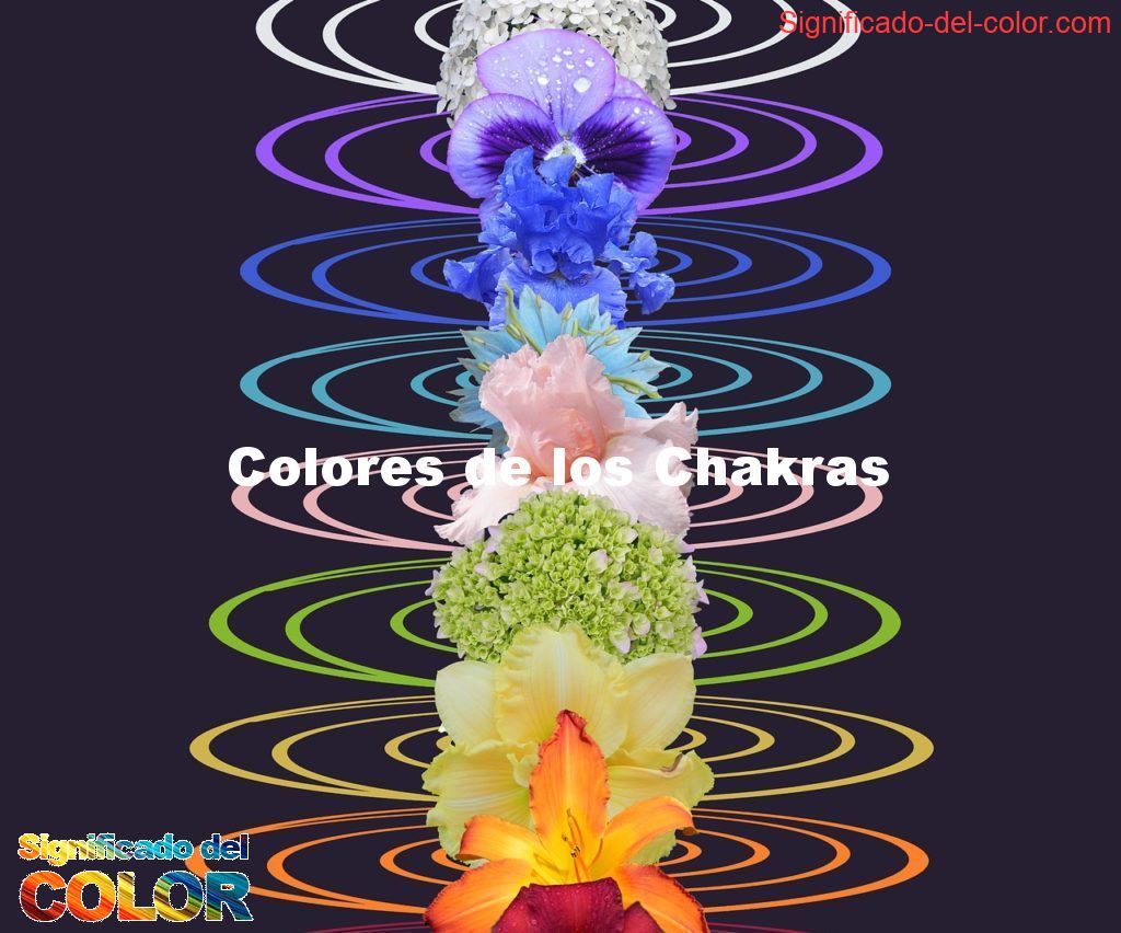 Colores de los Chakras