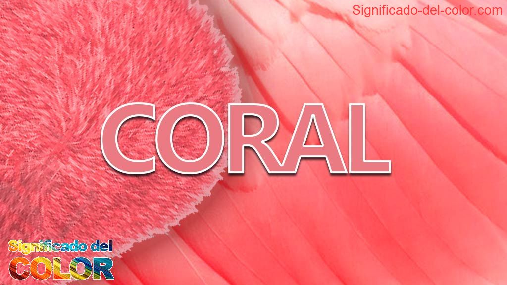 Significado Del Color Coral Psicología Y Simbolismo