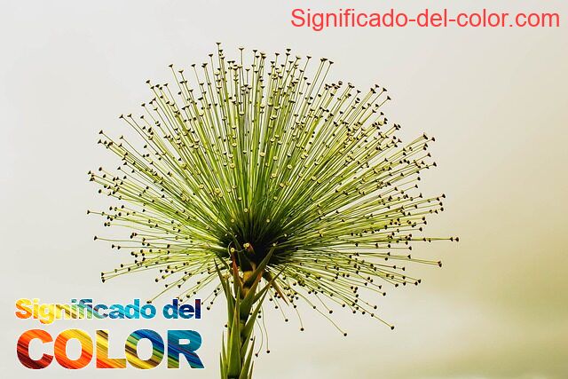 El Color Sinople: Concentración y la claridad mental - color sinople significado psicologico y espiritual 5