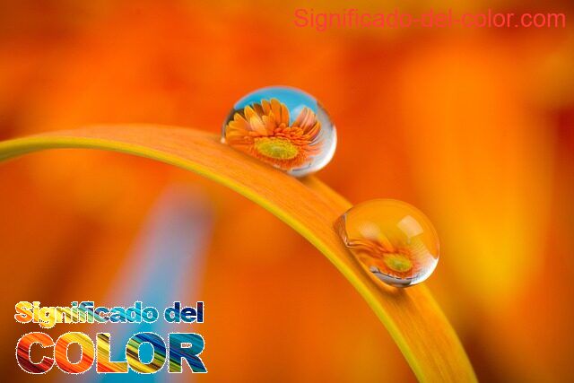 El color Xanadu... Relax & Keep Calm - color xanadu 2